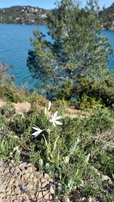 House Of Magic Lake Gréoux-les-Bains Esterno foto