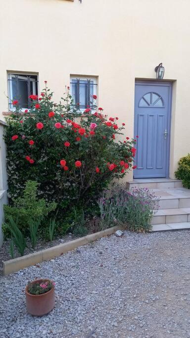 House Of Magic Lake Gréoux-les-Bains Esterno foto